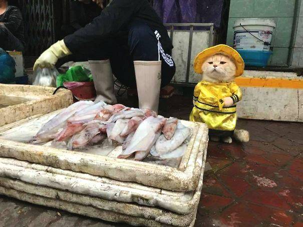 雙向球員布魯克斯砍24分6板：我不會放棄，我不在乎，我們會繼續(xù)努力爭勝