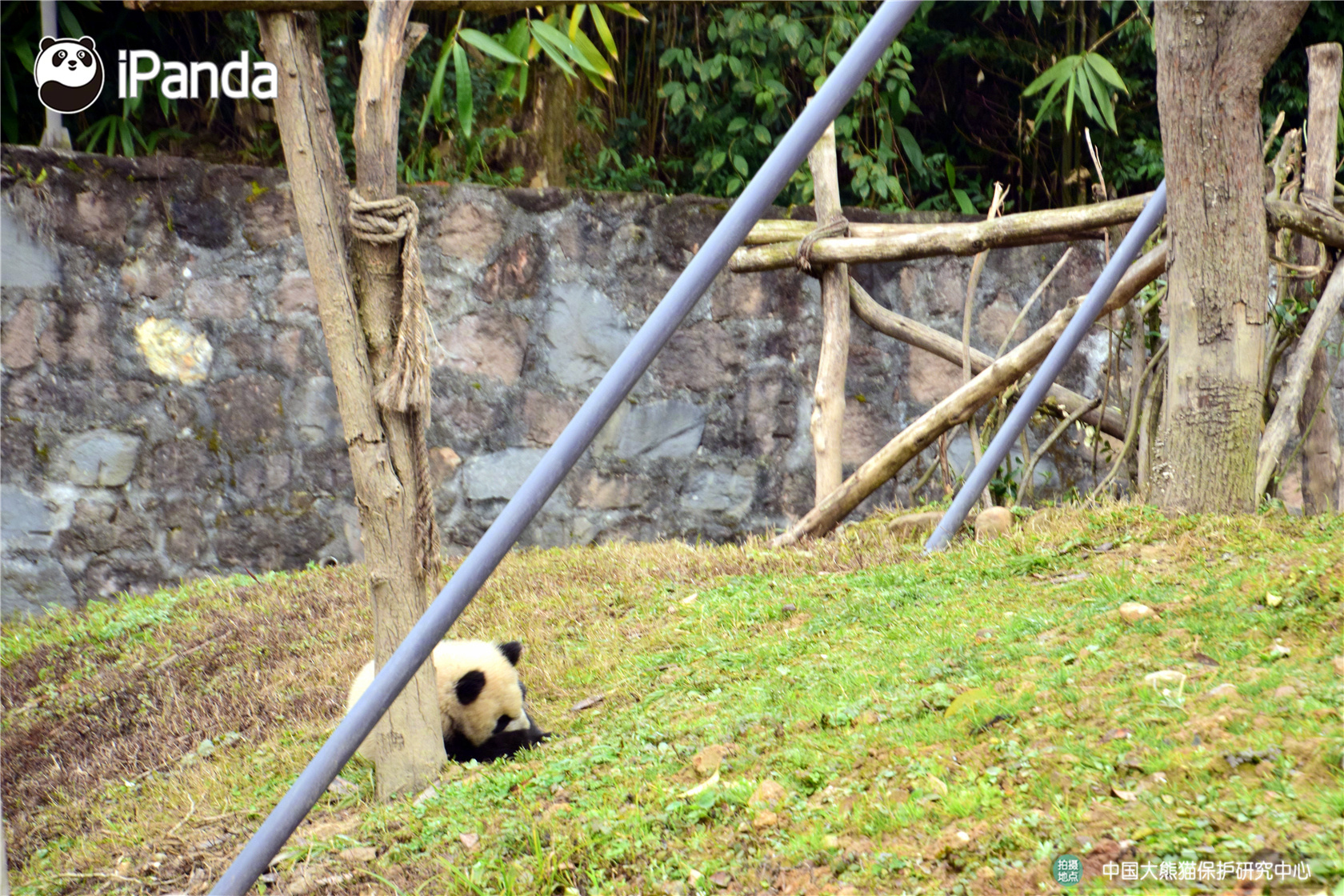 手機(jī)酷狗音樂(lè)怎樣整理緩存文件